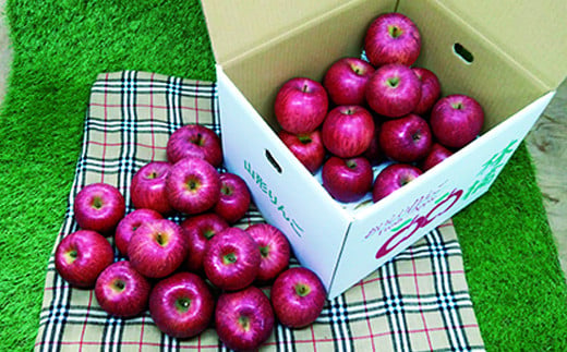 【令和7年産先行予約】 雪んこ 完熟ふじりんご 約5kg バラ詰