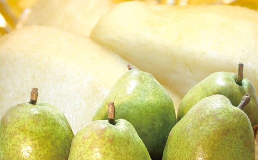 【令和7年産先行予約】 ラ・フランス 約3kg (8～12玉 秀 L～2L)