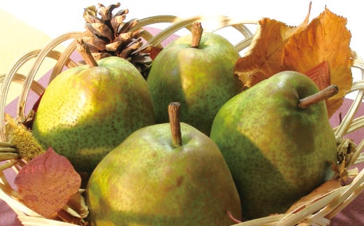 【令和7年産先行予約】 ラ・フランス ＆ ふじりんご MIX 約3k