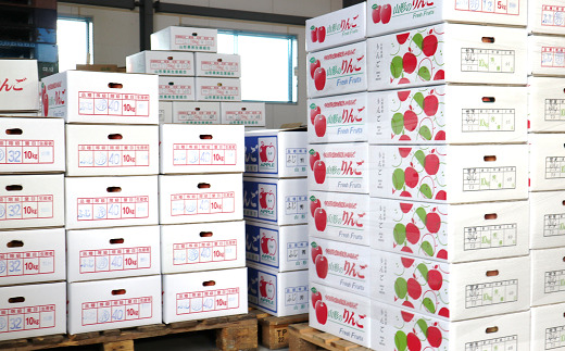 【令和7年産先行予約】 りんご 「サンふじ」 約10kg (24～46玉