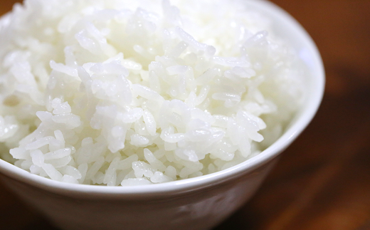 【令和7年産 新米 先行予約】 はえぬき (精米) 5kg 《令和7年1