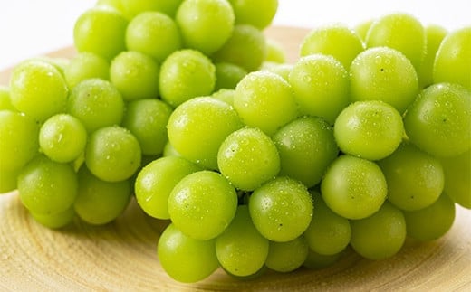 【令和7年産先行予約】《定期便3回》 おいしい山形のくだ