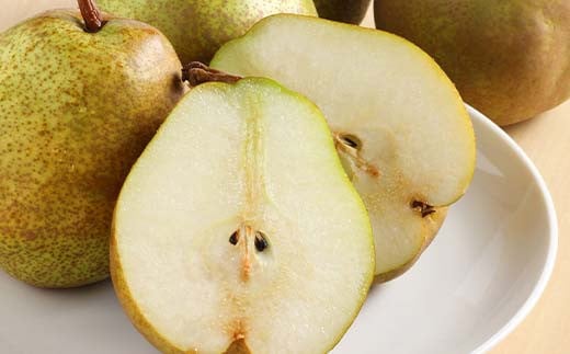 【令和7年産先行予約】 《定期便3回》 くだもの”たっぷり