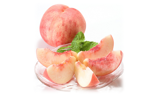 【令和7年産先行予約】 《定期便3回》 山形フルーツ贅沢宝