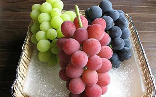 《定期便12回》 南陽産フルーツ＆加工品 1年満喫定期便 『