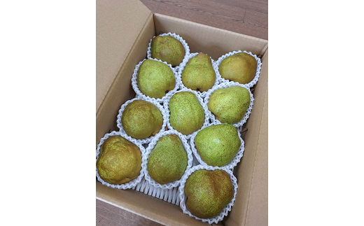 【令和7年産先行予約】 〈訳あり品 家庭用〉 ラ・フランス 