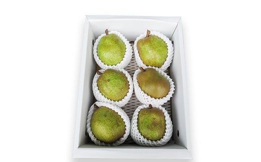 【令和7年産先行予約】 ラ・フランス 約2kg (5～6玉 秀 3L以上