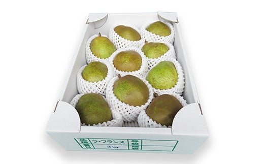 【令和7年産先行予約】 ラ・フランス 約3kg (10～11玉 秀 3L以