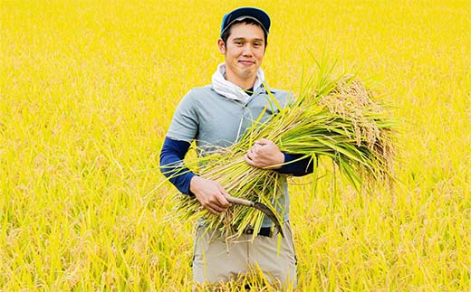 【令和7年産 新米 先行予約】 特別栽培米 雪若丸 (精米) 20kg 