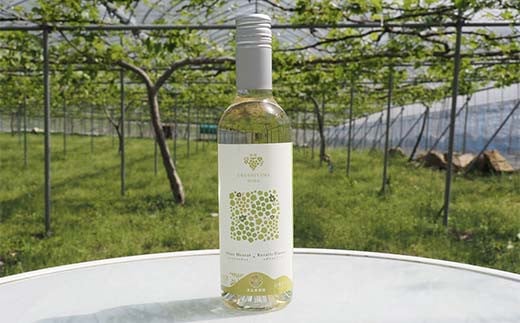 漆山果樹園ミニドリンクセット 「漆山ワイン ＆ 果汁100%ジ