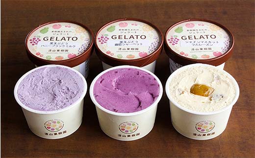 果樹園生まれの 「3種のぶどうジェラート ＆ ぶどうのたべ