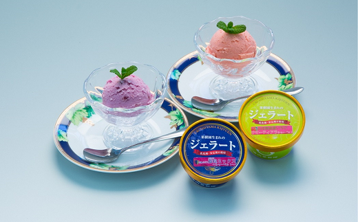 《定期便6回》 果樹園生まれの 無添加ジェラート 8個セット