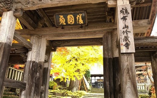 南陽産 特選 つや姫＋はえぬき 計20kg (各2kg×5袋) 『おりはた