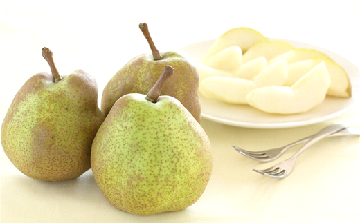 【令和7年産先行予約】 ラ・フランス  約5kg (10～18玉 秀)  《