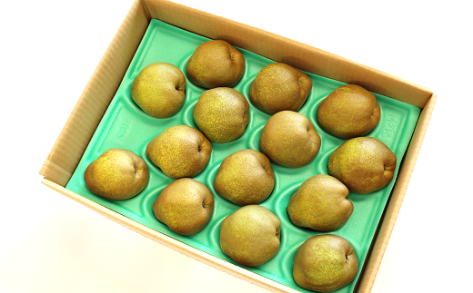 【令和7年産先行予約】 〈訳あり品 家庭用〉 ラ・フランス 