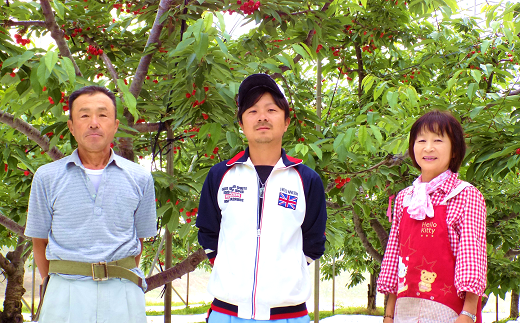 【令和7年産先行予約】 さくらんぼ 「佐藤錦」 約1kg (秀 2L