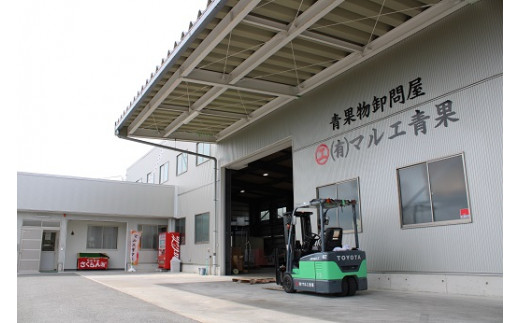 【令和8年産先行予約】 《定期便6回》 果樹王国山形 南陽の