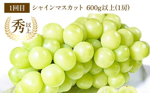【令和8年産先行予約】 《定期便3回》 秋冬フルーツ定期便 
