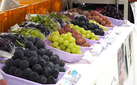 果樹園生まれの 果汁100%ぶどうジュース 「高級ぶどう ＋ デ