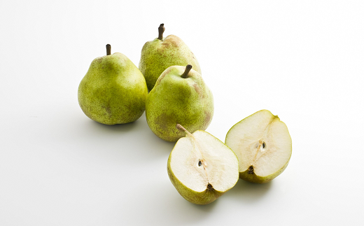 【令和7年産先行予約】 〈家庭用〉 小玉 ラ・フランス  約5k