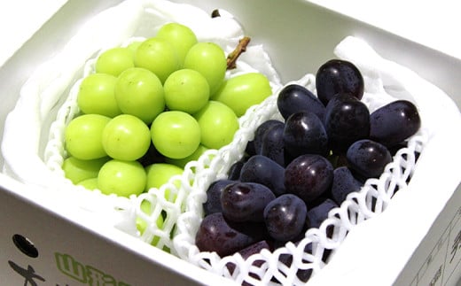 【令和7年産先行予約】 《定期便4回》 JA 夏秋冬人気フルー