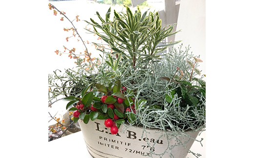  《定期便3回》 南陽市商工会女性部プロデュース 【癒しの