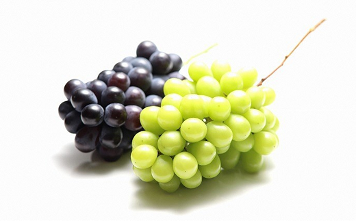 【令和7年産先行予約】 《定期便4回》 家庭で楽しむフルー