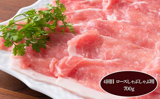 《定期便5回》 米澤豚一番育ち 満喫定期便 5回 ブランド豚 