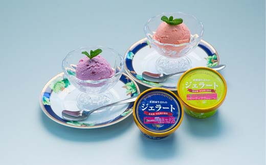 【アレルギー対応】 果樹園生まれの 無添加ジェラート 8個