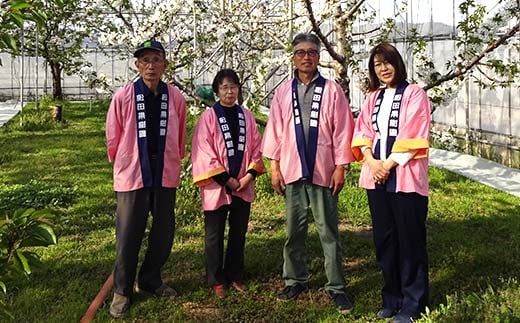 【令和7年産先行予約】 さくらんぼ 「紅秀峰」 約500g (特秀 