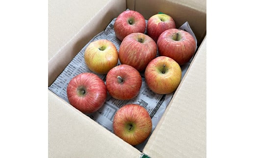 【令和7年産先行予約】 〈訳あり品 家庭用〉 りんご 「シナ