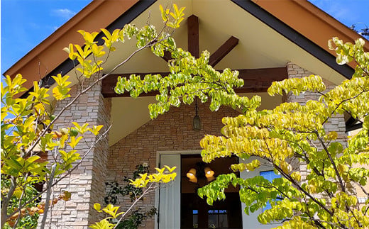 チーズが濃い～バスクチーズケーキ 1ホール 15cm 『おかしの