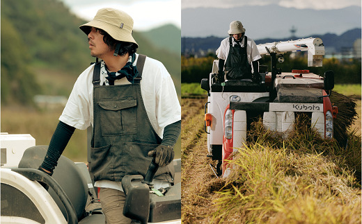 令和7年産 特別栽培米 つや姫 (精米) 10kg 『最上園』 米 白米