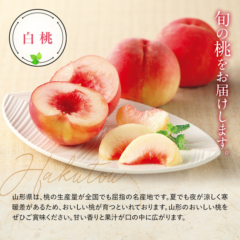 【令和8年産先行予約】 もも「清水白桃」 約3kg (11～15玉 特