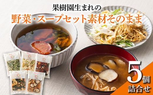 果樹園生まれの 「野菜・スープセット素材そのまま」 5個