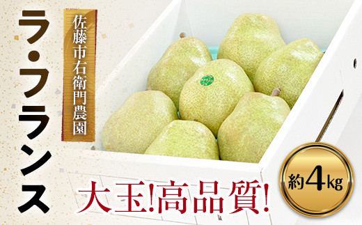 【令和7年産】 十三代目 佐藤市右衛門 特大玉 ラ・フランス