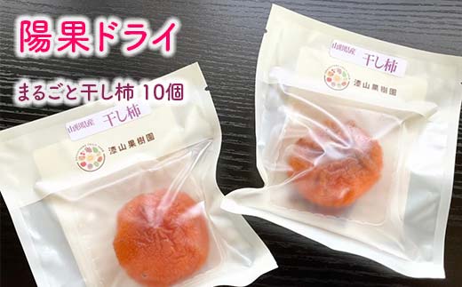 果樹園生まれの 常温乾燥機で作る 「陽果ドライ まるごと