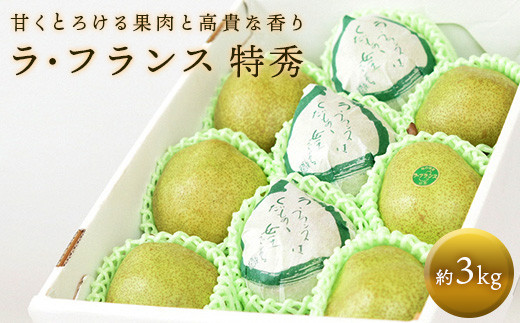 【令和7年産先行予約】 十三代目 佐藤市右衛門 ラ・フラン