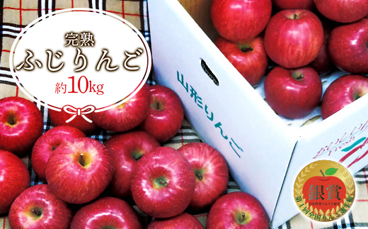 【令和7年産先行予約】 雪んこ 完熟ふじりんご 約10kg バラ