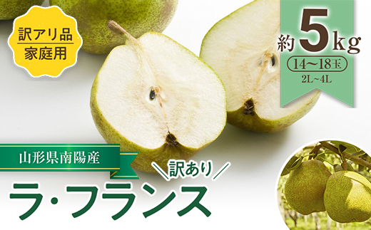 【令和7年産先行予約】 〈訳あり品 家庭用〉 ラ・フランス 