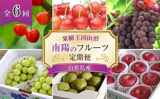 【令和8年産先行予約】 《定期便6回》 果樹王国山形 南陽の