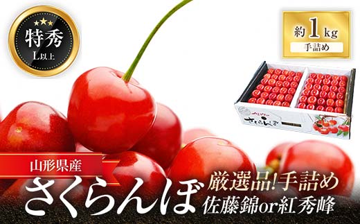 【令和8年産先行予約】 厳選品！手詰め さくらんぼ 「佐藤