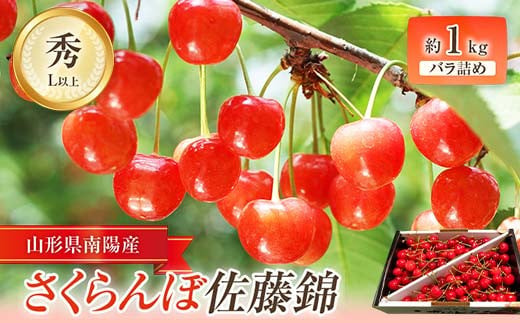【令和8年産先行予約】 さくらんぼ 「佐藤錦」 約1kg (秀 L以