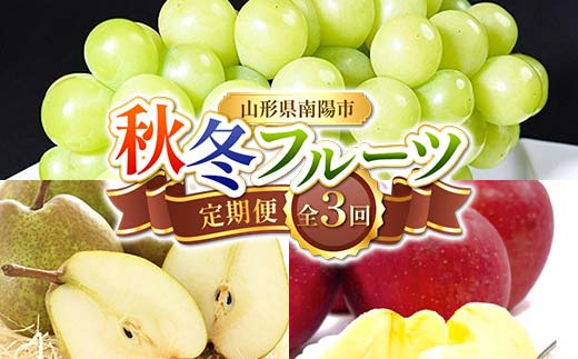 【令和8年産先行予約】 《定期便3回》 秋冬フルーツ定期便 