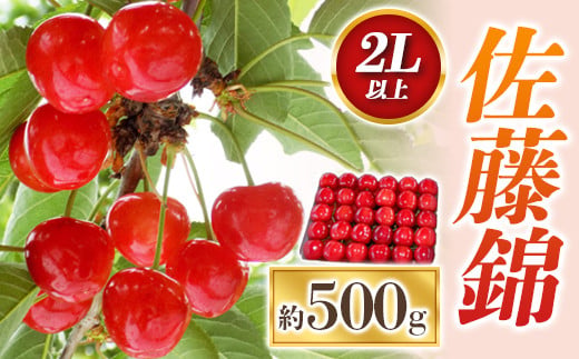【令和7年産先行予約】 さくらんぼ 「佐藤錦」 約500g (秀 2L