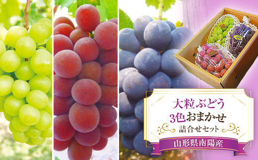 【令和8年産先行予約】 大粒ぶどう3色おまかせ詰合せセッ