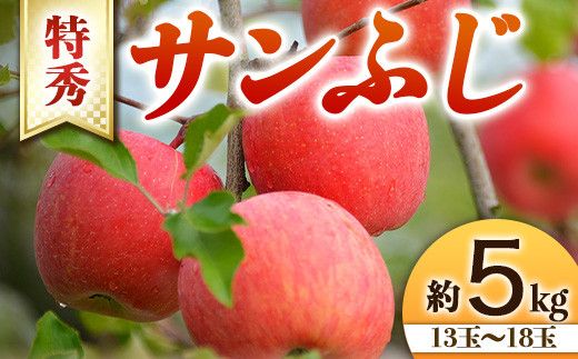 【令和7年産先行予約】 りんご 「サンふじ」 約5kg (13～18玉 