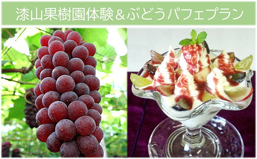 漆山果樹園 ぶどう狩り体験 & ぶどうパフェ プラン 2名様分 