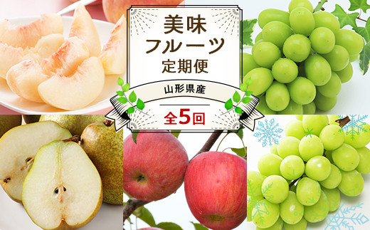 【令和7年産先行予約】 《定期便5回》 JA 夏秋冬美味フルー