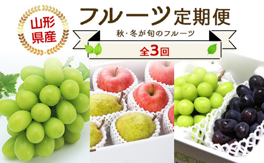 【令和7年産先行予約】 《定期便3回》 JA 秋冬フルーツ定期